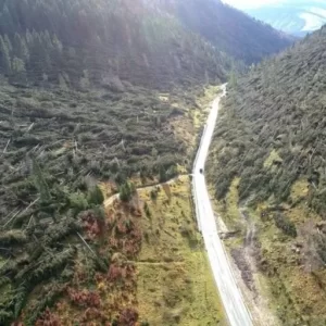 Foreste abbattute ad Asiago - foto tratta da Padova 24 Ore