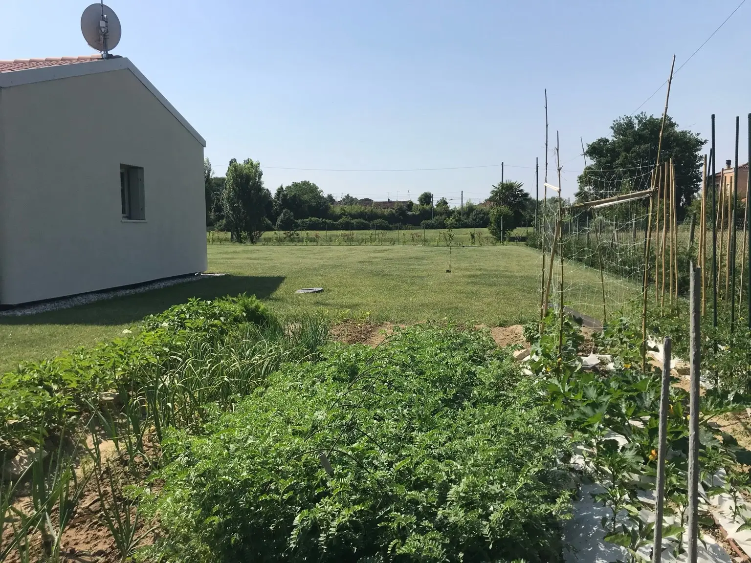 casa-in-legno-con-orto