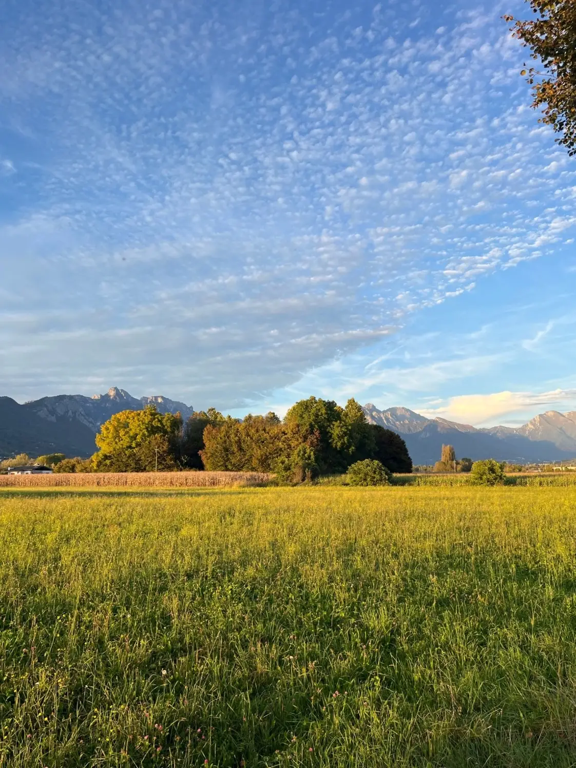 peasaggio-di-casa-in-legno